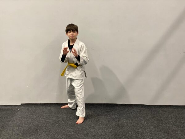 Kimono Arrabona - Image 3