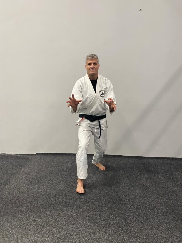 Kimono Arrabona - Image 4